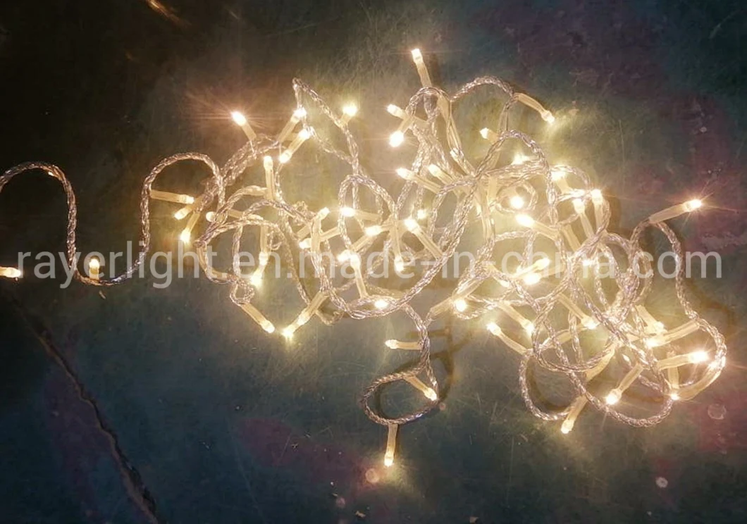 Holiday Decoration 100 LEDs String Commercial Outdoor String Lights
