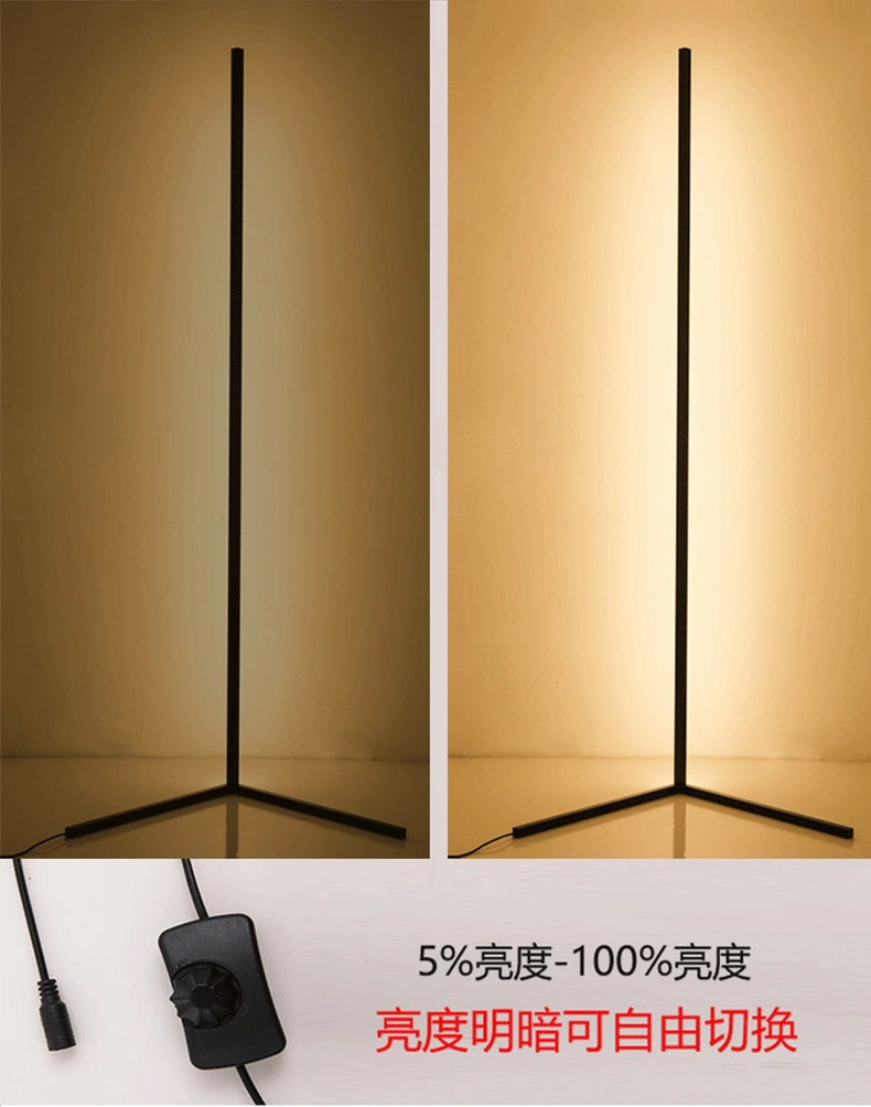 LED Modern Decorative Home Indoor Lighting, Distributor Lamp, LED Interior Lighting Floor Light, LED Floor Lamp