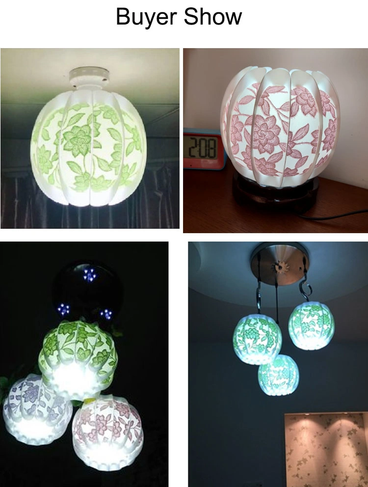 Modern Creative Lamp Ceiling Lamp Decorative Hanging Lampshade for Home Accessories