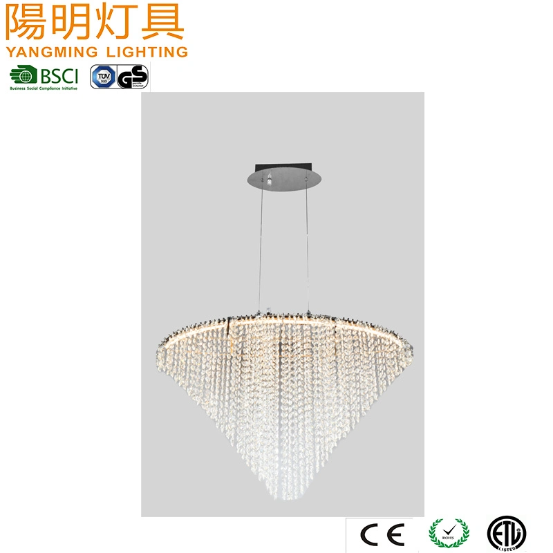 Rainny Decorative Hanging Pendant Lamp / Hotel Lobby LED Crystal Lamp