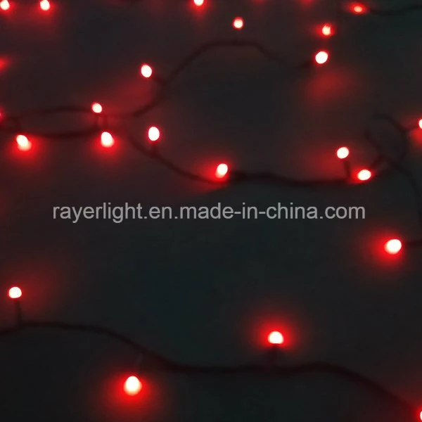 Addressable LED String Lights DMX Controlled Outdoor Christmas Lights on The Chain