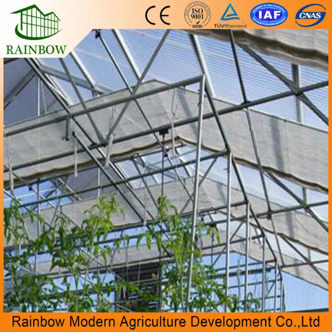 Greenhouse with Shading Net, Shading Curtain, Shading System, Agricultural Greenhouse Outside and Inside Shading