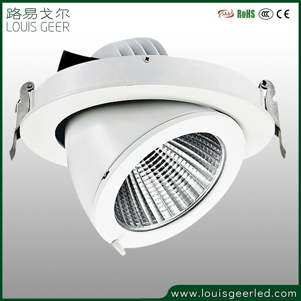 High Quality Flush Mounted Rotating COB LED 30W Spot Light LED Spotlight LED Light