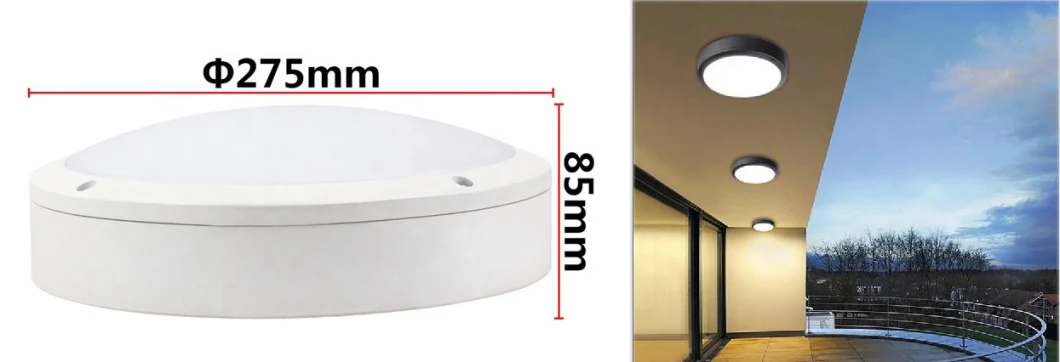 Microwave Sensor Ceiling Light 14W Ceiling Bulb D275mm Aluminum PMMA 20W LED Ceiling Lighting