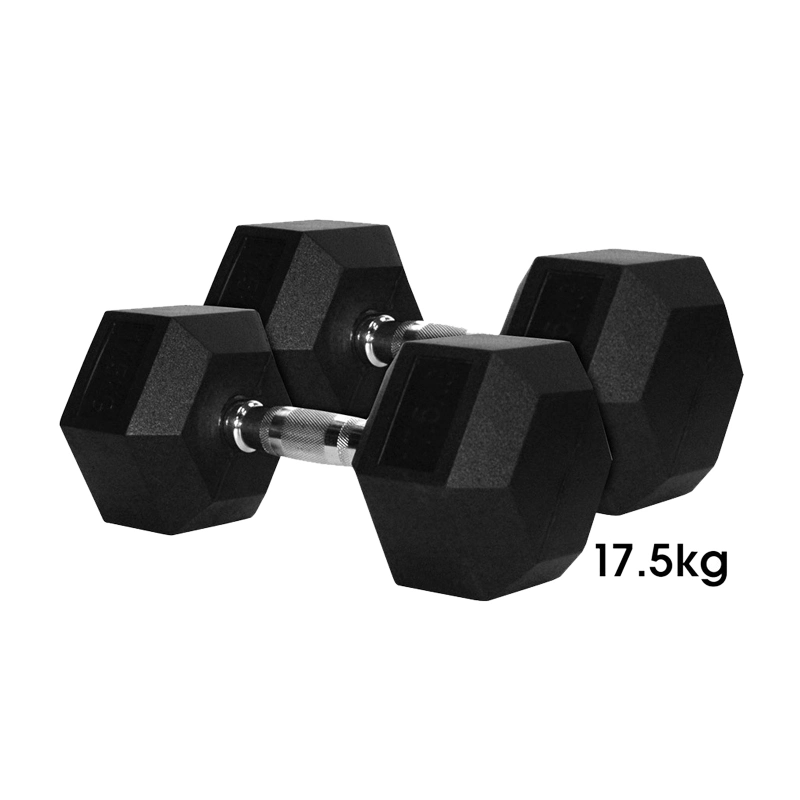 Home Gym Rubber Coated Solid Steel Cast Hex Weights Dumbbells for Muscle Training