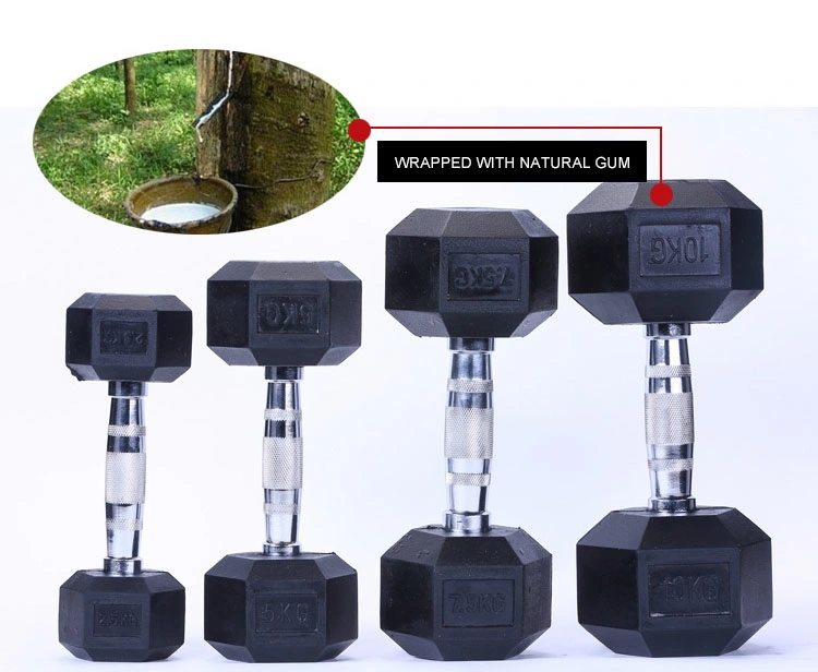 Custom Gym Equipment Rubber Coated Weight Lifting Dumbbell