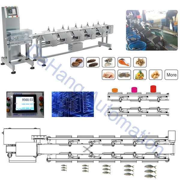 5kg Good Quality Weight Sorter with 120 PCS/Min Frozen Fish Weight Sorting Machine