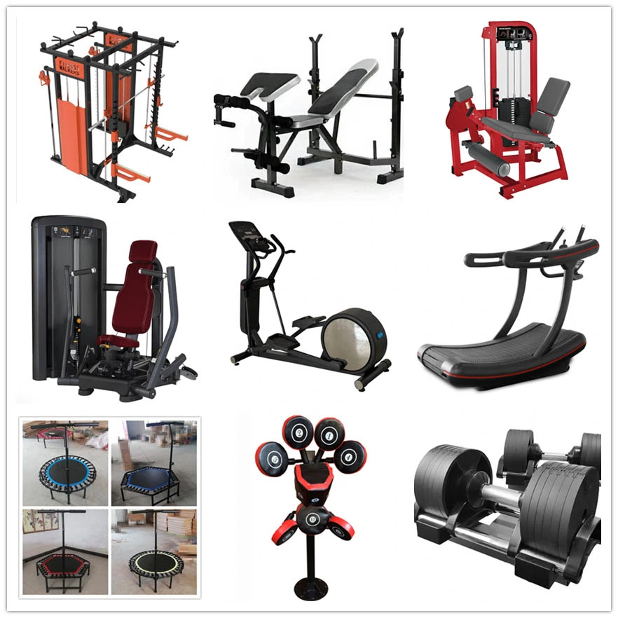 Wholesale Baking Paint Cast Iron Round Dumbbell for Gym Equipment