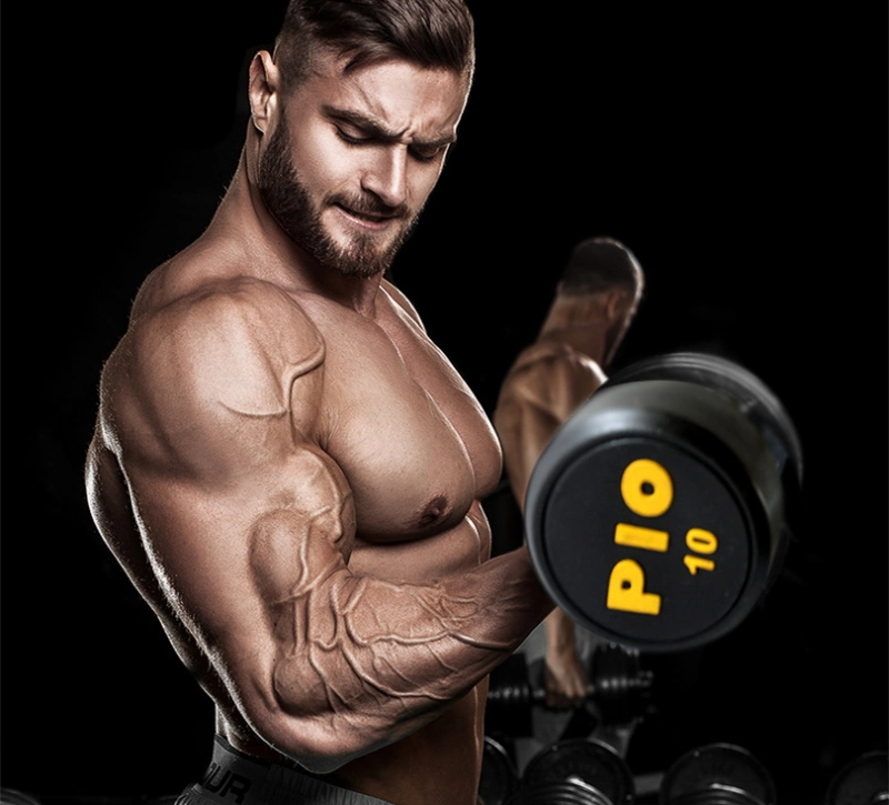 Customized Logo Big Size 2.5kg~50kg Rubber Dumbbell Set FCL Price for Sell
