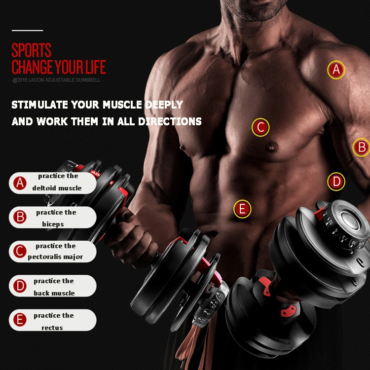 Body Building Adjustable Dumbbell Set 552 Fitness Workout Gym