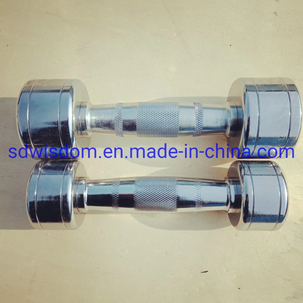Gym Bodybuilding Fixed Round Stainless Steel Home Used Chrome Dumbbell for Fitness Equipment