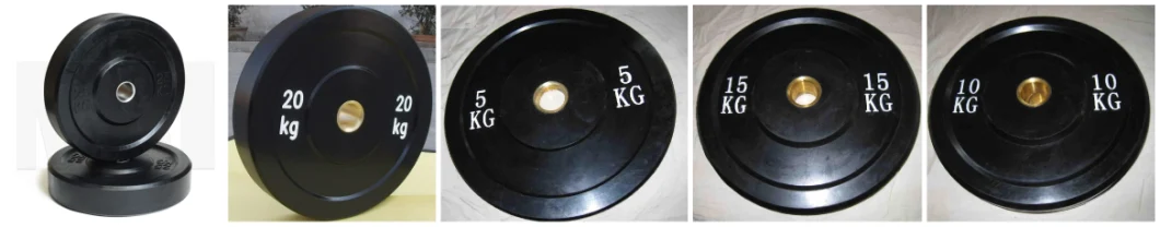 Weight Plates Sell Well Weight Barbell Plate for Gym Fitness Gym Weight Plate Bumper Plates