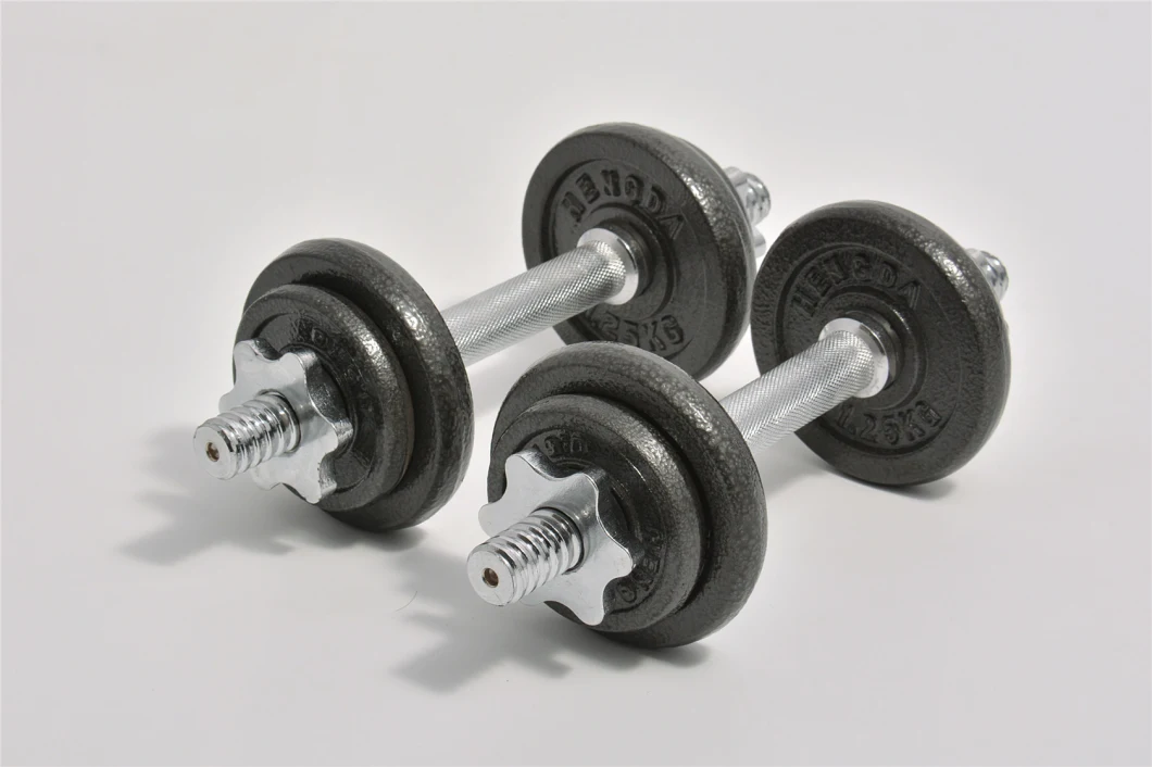 10kg Adjustable Cast Iron Dumbbell Set Fitness Equipment for Home Gym