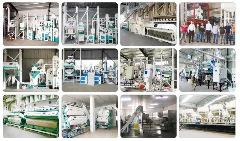 Rice Color 10 Chutes White Rice Color Sorter/Rice Separating Machine