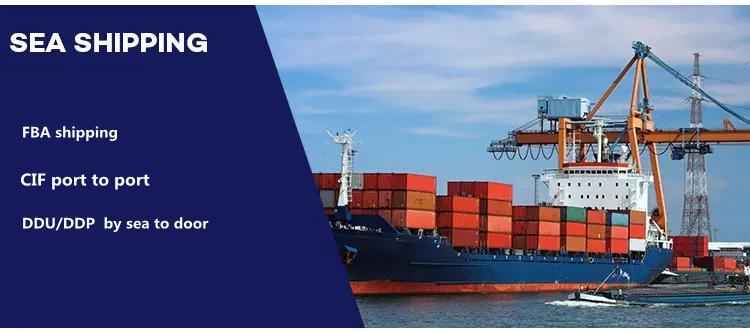 Chinese Top 10 Logistics Company Freight Forwarder Shipping Agent to Spain