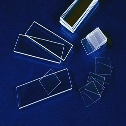 Prepared Microcope Slides/Microscope Slides/Prepared Slides