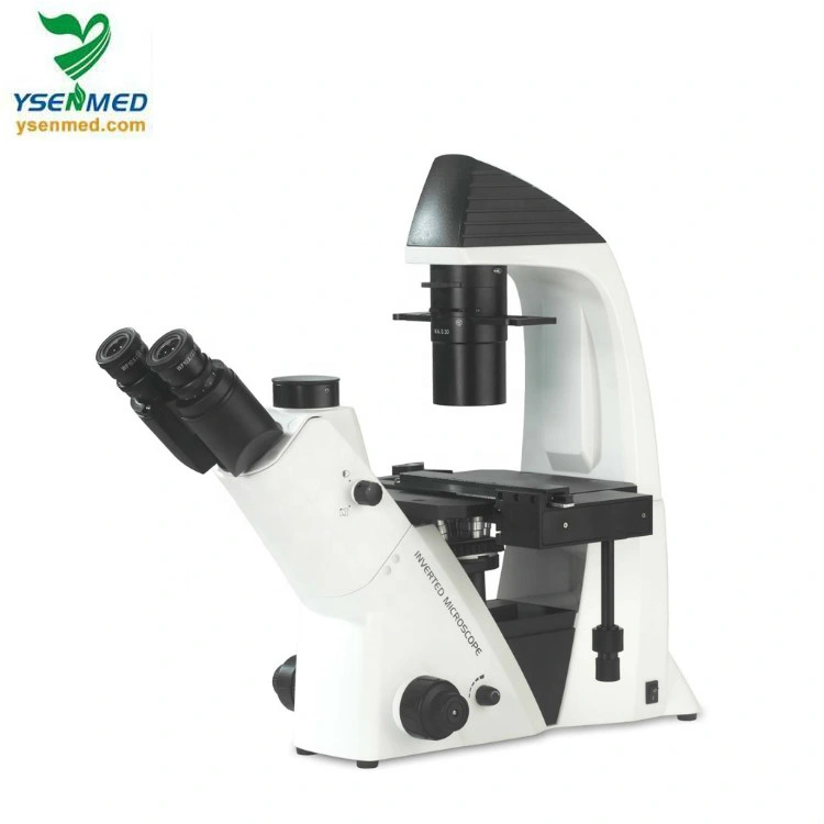 Ysxwj-Dz400 Medical Microscope Inverted Phase Contrast Microscope