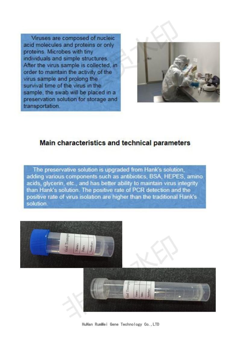 Disposable Sterile Transport Swab for Collecting Rna