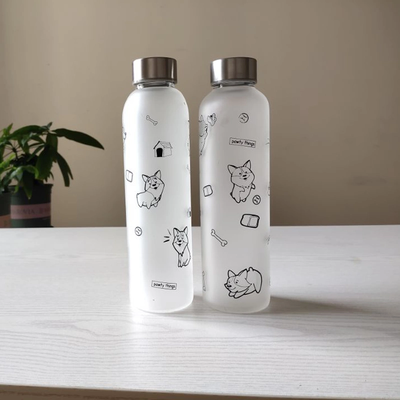Portable Single Wall Frosted Glass Water Bottle with Factory Price 2021