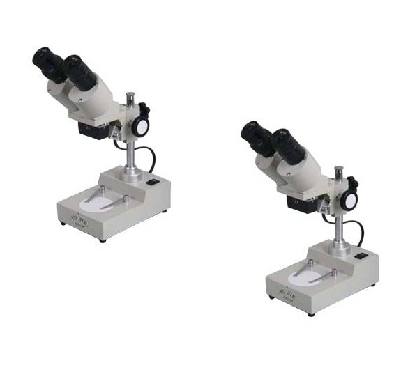Microscope for Laboratory Use /Stereo Microscope /Zoom Stereo Microscope (XTD-3C)