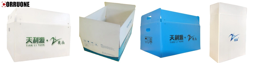 Customized Logo Folding PP Plastic Corrugated Fruit Storage Pacagking Box/Stock Plastic Corrugated Box