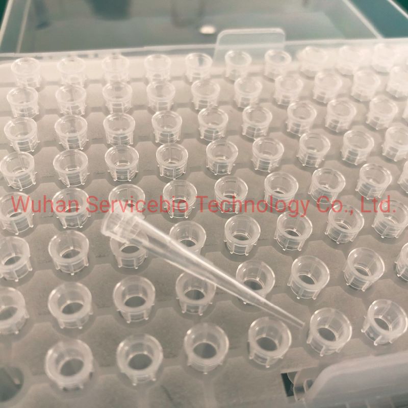Disposable Transparent Pipet Tips Dnase&Rnase Free Autoclavable Plastic Pipettes