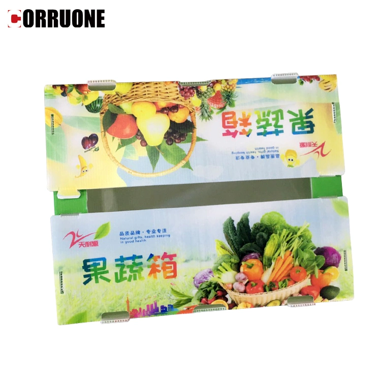 Customized Logo Folding PP Plastic Corrugated Fruit Storage Pacagking Box/Stock Plastic Corrugated Box