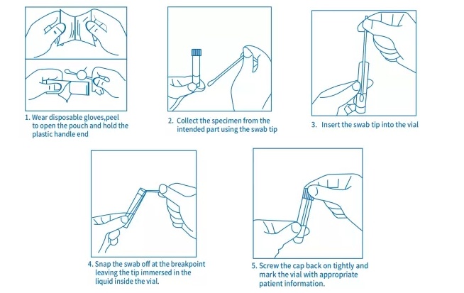 Disposable Virus Sample Collection Tube Wirh Swab Kit Virus Transport Medium