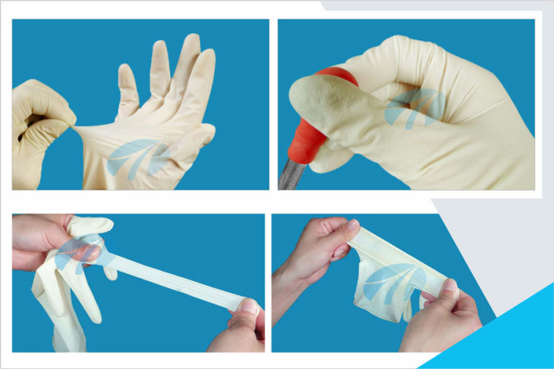 Sterile and Non-Sterile Surgical Gloves