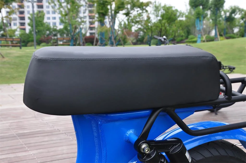 48V 500W High Quality Fat Tire Electric Bike Long Seat for Two People Ebike Electric Bike