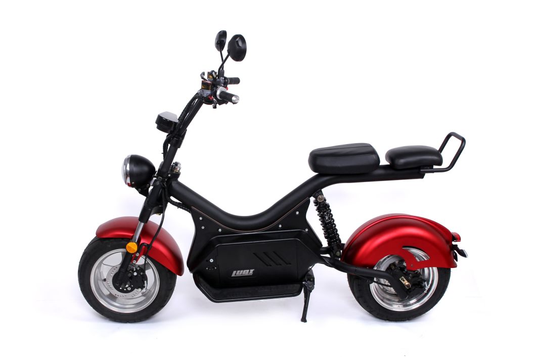 Famous Brand Safe Lock System Long Distance Adult Electric Motorbike with 2 Leather Seats