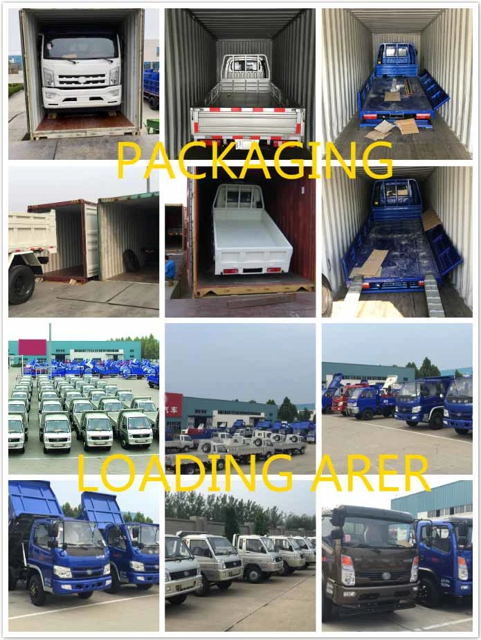 China Light Mini Dump/Used Dump Truck/Tipper Truck	Truck for Sale