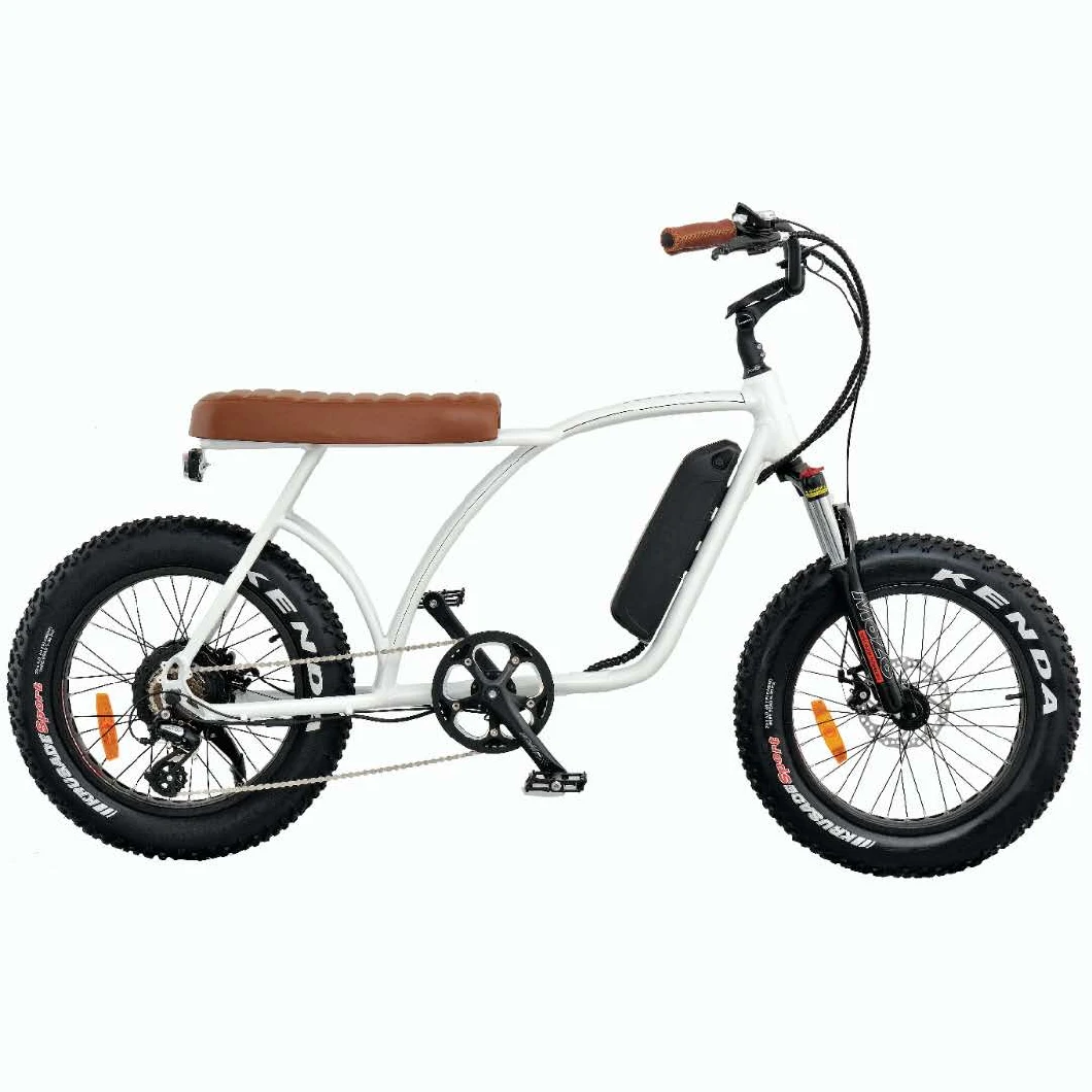 Two Seat Double Seat 2 Seat Electric Bike 20inch with Full Suspension Super Electric Bike Cool Ebike Mz-642