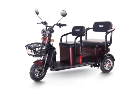 48V/60V Electric Tricycle with Two Seats for Old Man