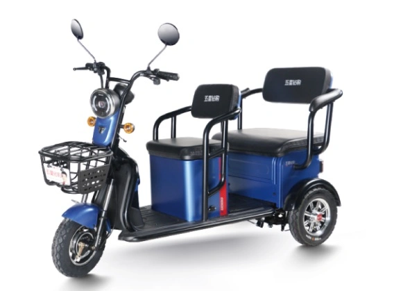 48V/60V Electric Tricycle with Two Seats for Old Man