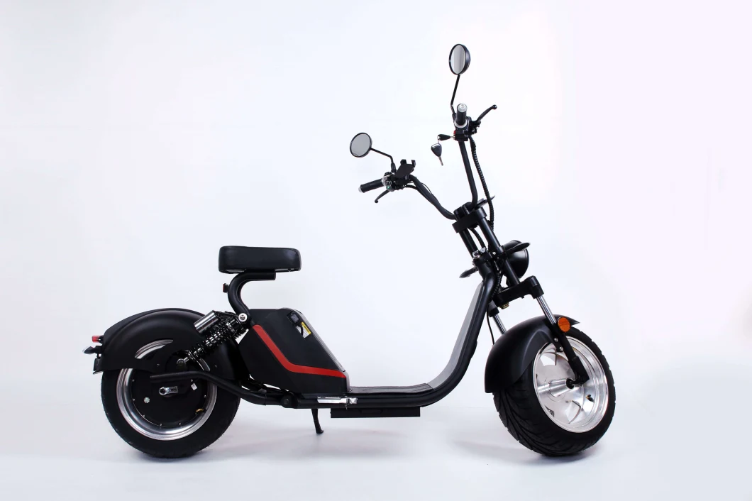 Convenient Lithium Battery 13 Inch Long Range for Ride Single Seat Electric Motorcycle with Simple Style