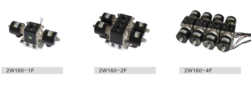 2W 1f 2f 4f Air Ride Manifold Valve for Air Ride Suspension System