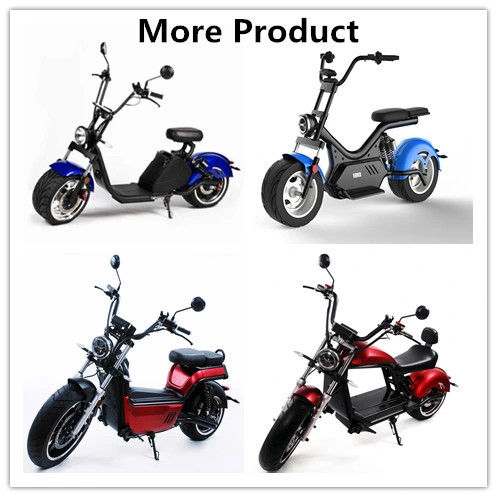 Small E Car Wide Leather Seat Double Lock Removable Battery Famous Brand Luqi Electric Motorbike for Outdoor Sports