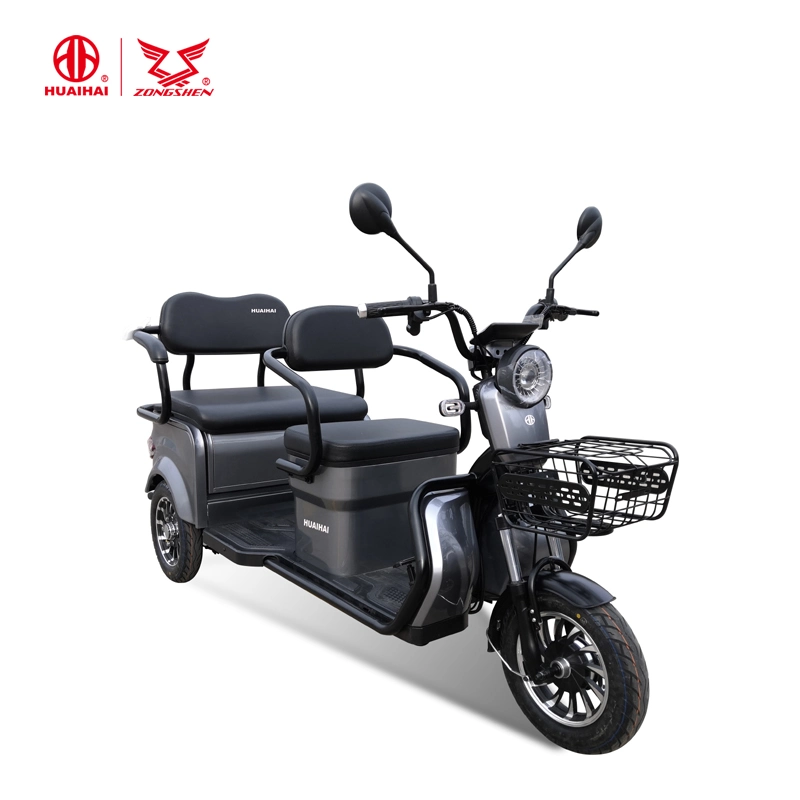 3 Wheeler Electric Motorcycles for Sale with Double Seats