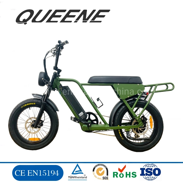 Queene/Two Seat Double Seat 2 Seat Electric Bike 20inch with Full Suspension Super Electric Bike Cool Ebike 173