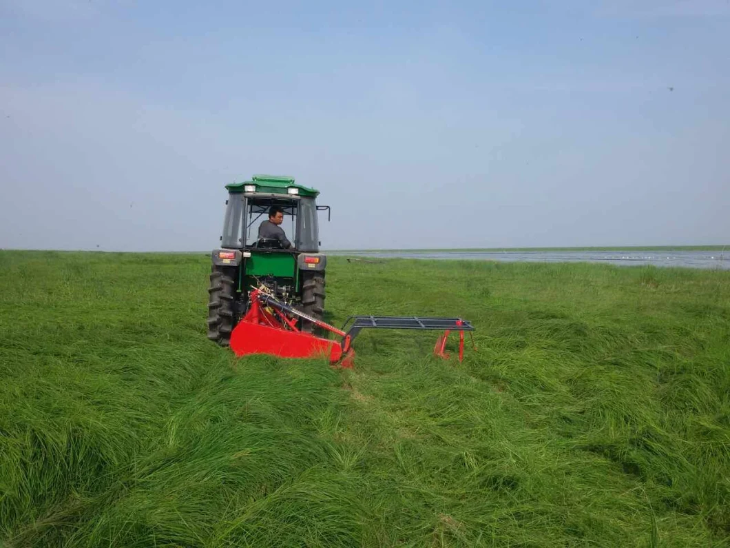 Exporting Quality of Agricultural Mowers, Disc Hay Mowers, Alfalfa Mowers with High Efficiency