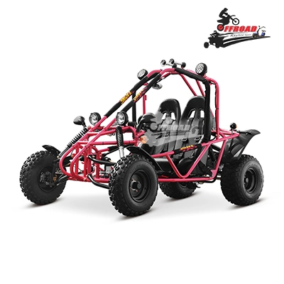 High Performance Adult off Road Gasoline Go Kart Two Seats