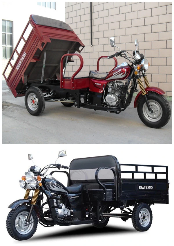 250cc Cheap Three Wheel Motorcycle Double Rails 3 Wheel Cargo Motorcycle with Long Seat