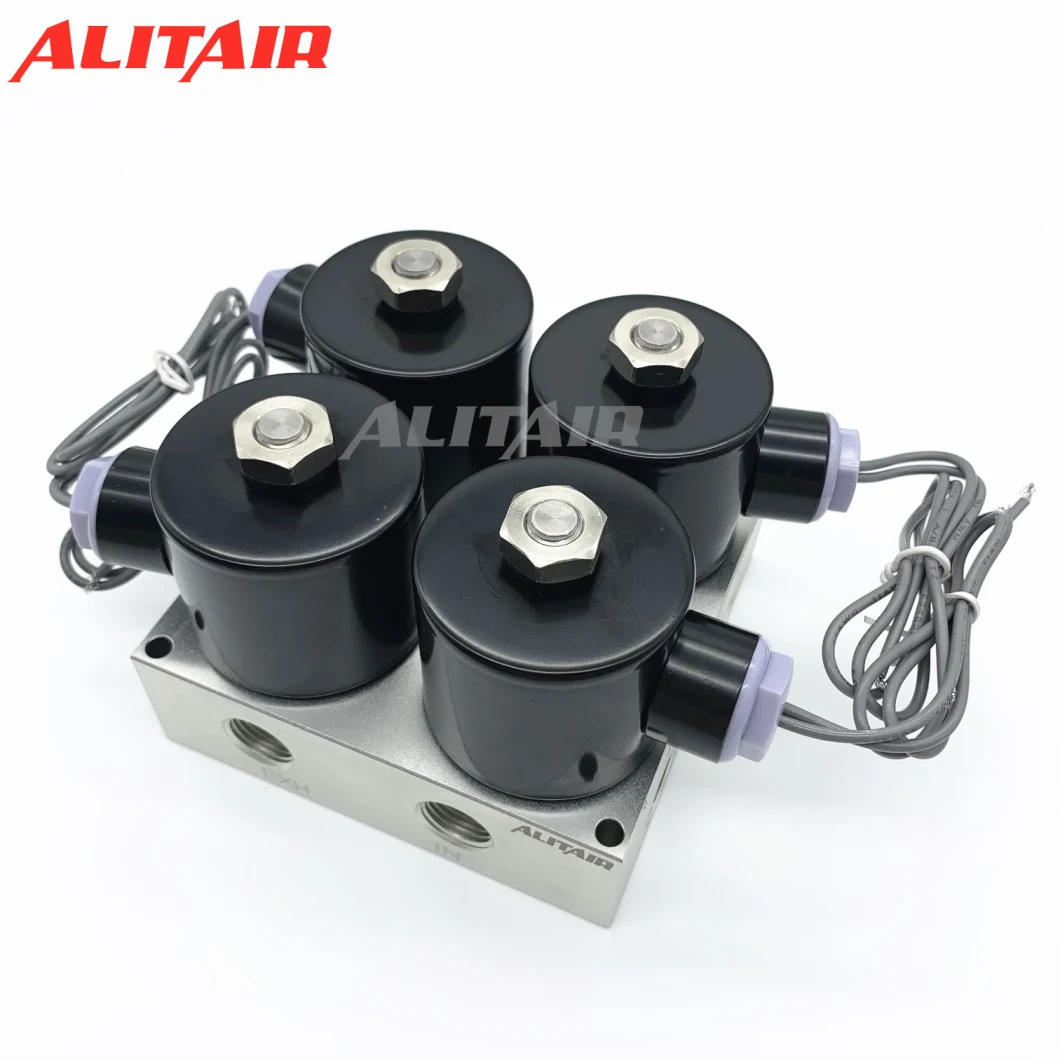 Universal Air Ride Suspension Solenoid Valves Controller for Car Truck Air Suspension Systems