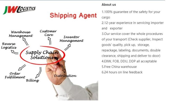 Best Sea Shipping Agent Service to Madagascar/ Israel/Malaysia