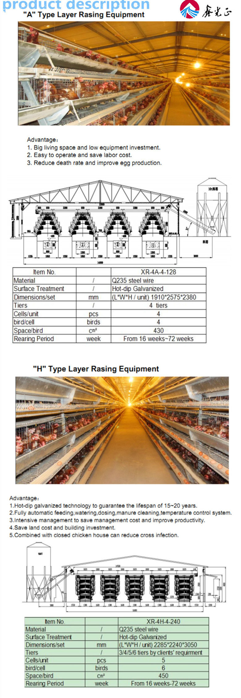 5 Layers of Laying Hens Equipment and Houses