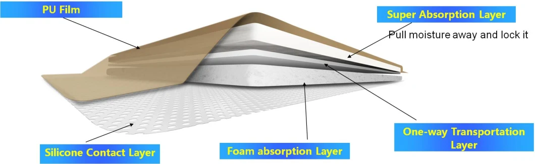 Advanced Wound Care Dressing Hydrocolloid Foam Dressing