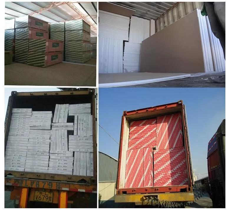 Plasterboard Gypsum Board Supplier Paper Faced Gypsum Board Ex-Factory Price