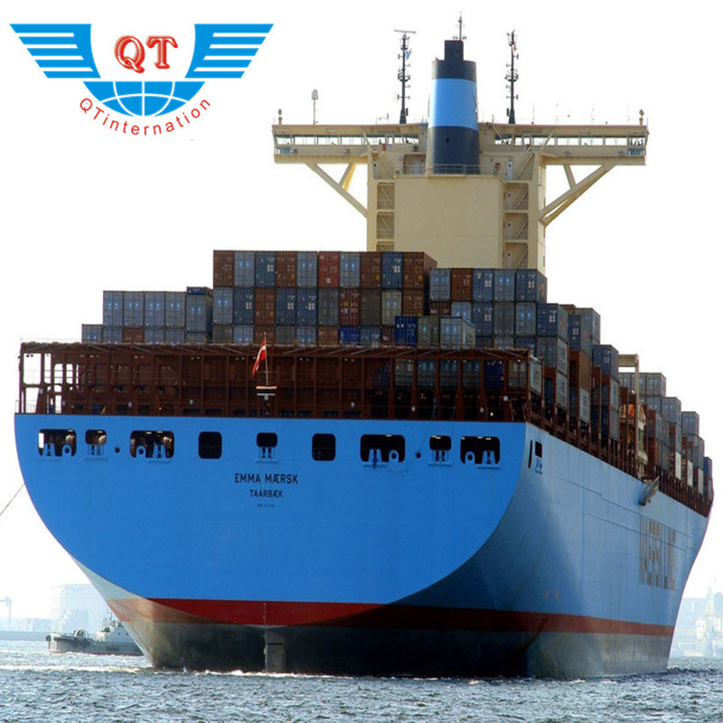 Professional Sea Freight Shipping Service From China to Port Auckland of New Zealand