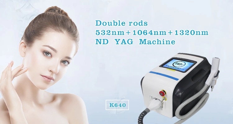 Two Bars Two Lamp YAG Laser Manufacture Professional Painless Tattoo Removal Skin Care Machine
